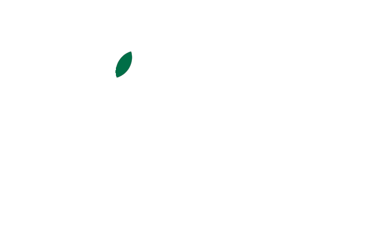 vibrantsuperfoods
